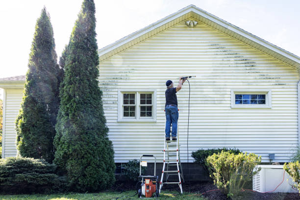 Best Concrete Pressure Washing  in Malibu, CA